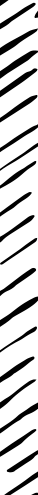 illustration of a background texture
